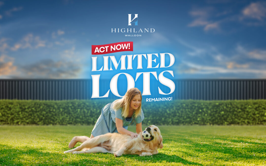 Buyers snap up home and land packages with 40 lots sold in one day