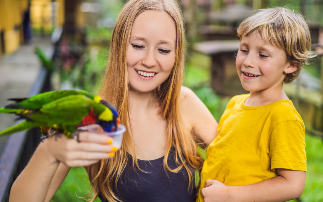 Highland-Walloon-Parks and family fun